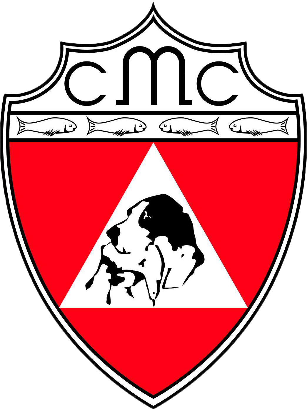 Conhe a As Modalidades Clube Mineiro De Ca adores